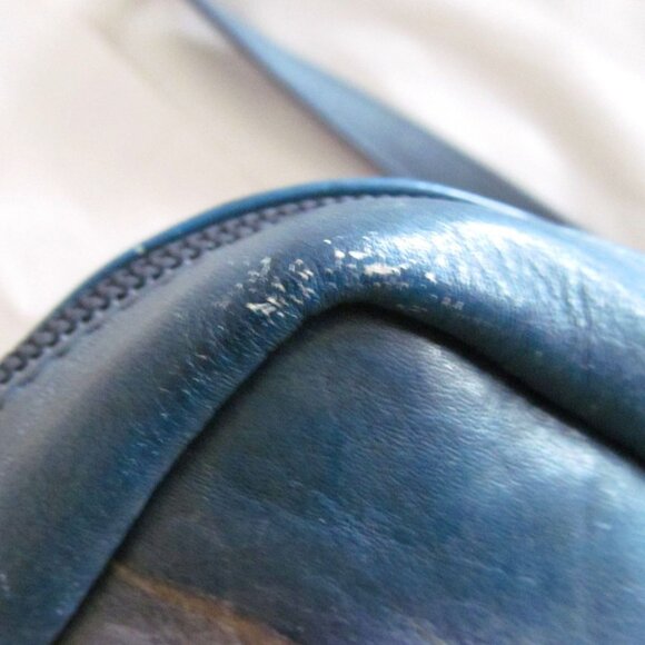 Anuschka Genuine Leather Hand-Painted Crossbody Bag with Zebra Sunset Design - Picture 10 of 16